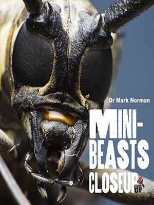cover image of Minibeasts CloseUp